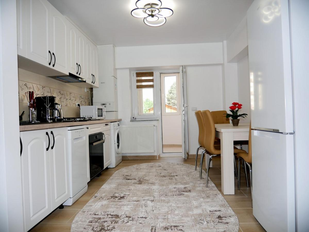 Apartament David Câmpulung Moldovenesc Extérieur photo